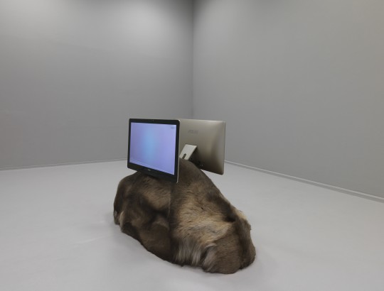 Natascha Sadr Haghighian, onco-mickey-catch (2016); Ausstellungsansicht Neuer Berliner Kunstverein, 2016, Foto: Jens Ziehe